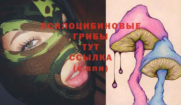 гидропоника Верхнеуральск