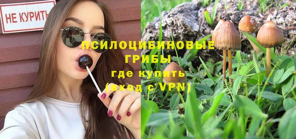прущий лед Верея