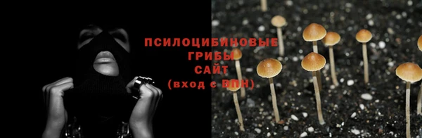 прущий лед Верея