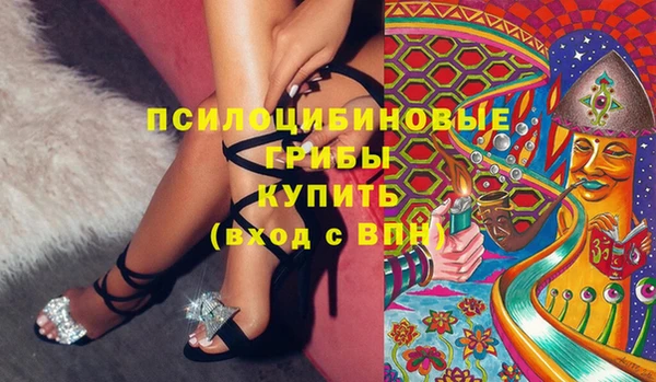 прущий лед Верея