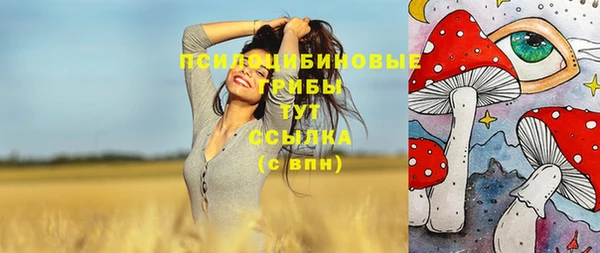 первитин Верхний Тагил